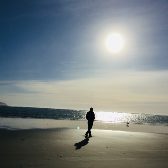 rising_sun_shop